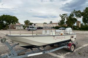 Boston Whaler 17