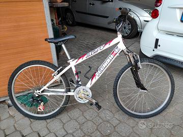 Mountain bike 