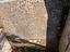Immagine 11