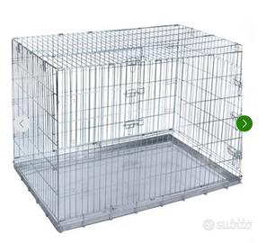 Kennel cane