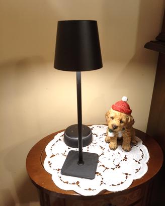 Lampada da tavolo portatile