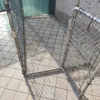 Gabbia per cani 