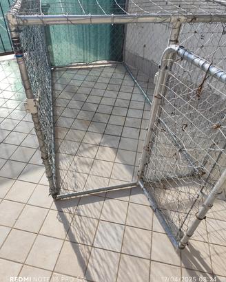 Gabbia per cani 