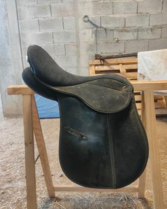 Sella inglese Wintec arcione regolabile