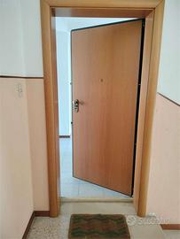 V004005 - REGIONE MARCHE