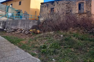 terreni agricoli.