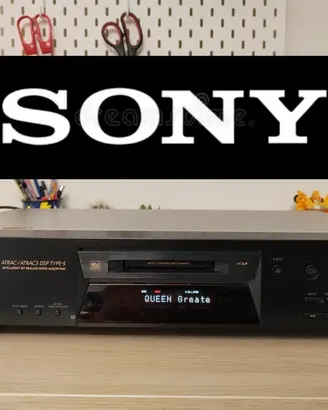 Sony mds je480 