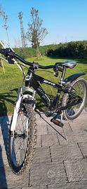 bicicletta bambino 20 pollici