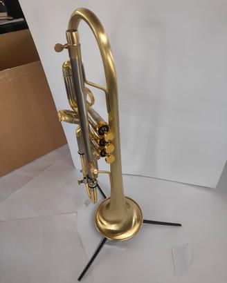 tromba sib spazzolata