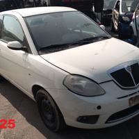Pezzi di ricambio Lancia Ypsilon anno 2009