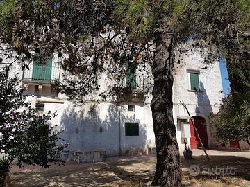 Masseria+trulli+terreno