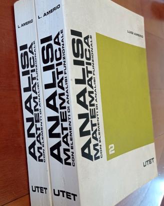 Analisi matematica 2+3 - Luigi Amerio (UTET)