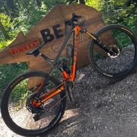 MTB Trek Fuel EX