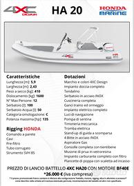 Gommone Ranieri international 590 pack honda bf40e