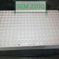 15 Seminiere 220 fori quadri
