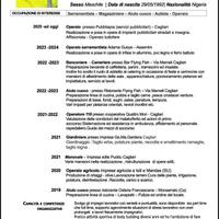 Manovale Serramentista Montatore