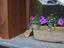 Immagine 23