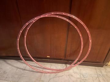 2 Hula Hop rosa decorati con roselline all'interno