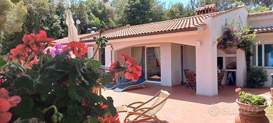 Elba casa indipendente ristrutturata