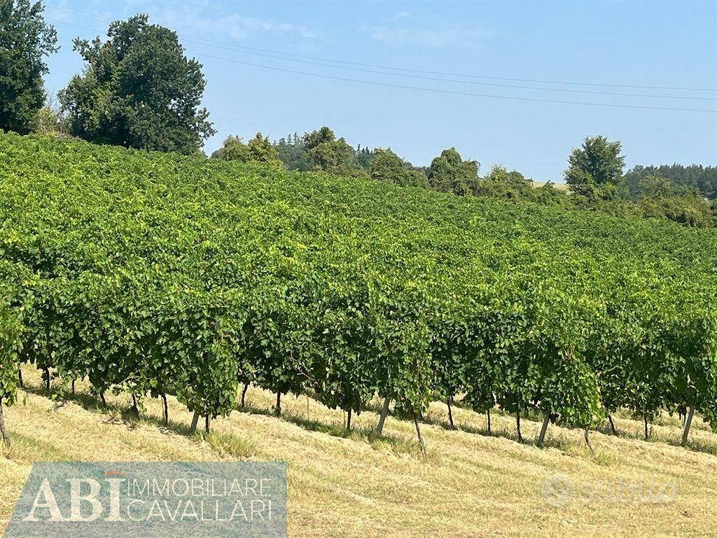 Terreno di 230000 m² a Imola - Vista 5