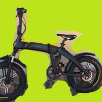 Bici elettrica