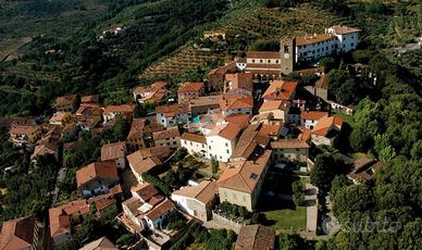 ATTIVITÀ A MONSUMMANO TERME