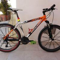Mountainbike VEKTOR 26