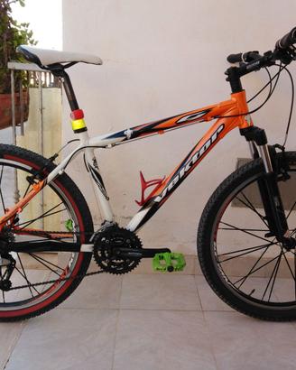 Mountainbike VEKTOR 26