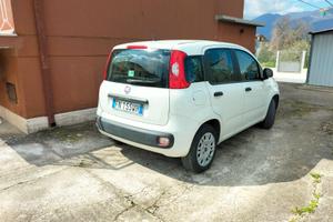 Panda