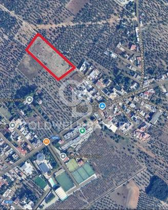 Terreno agricolo - Bitonto