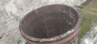 Botti e tino in legno