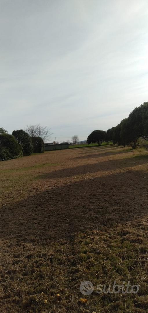 Terreno agricolo a Montecchiari - Vista 5