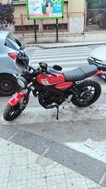 Yamaha xsr 125cc