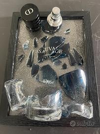 Quadro sauvage