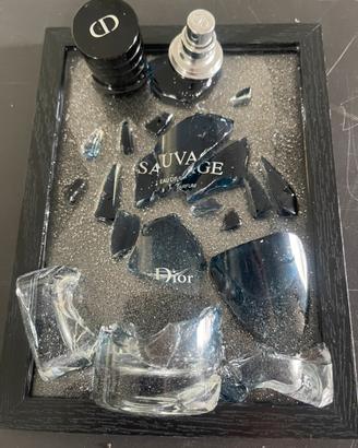 Quadro sauvage