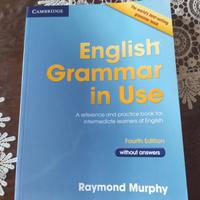 English Grammar in Use - 9780521189088