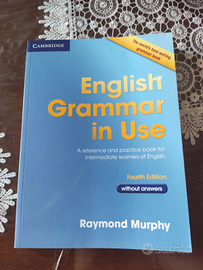 English Grammar in Use - 9780521189088