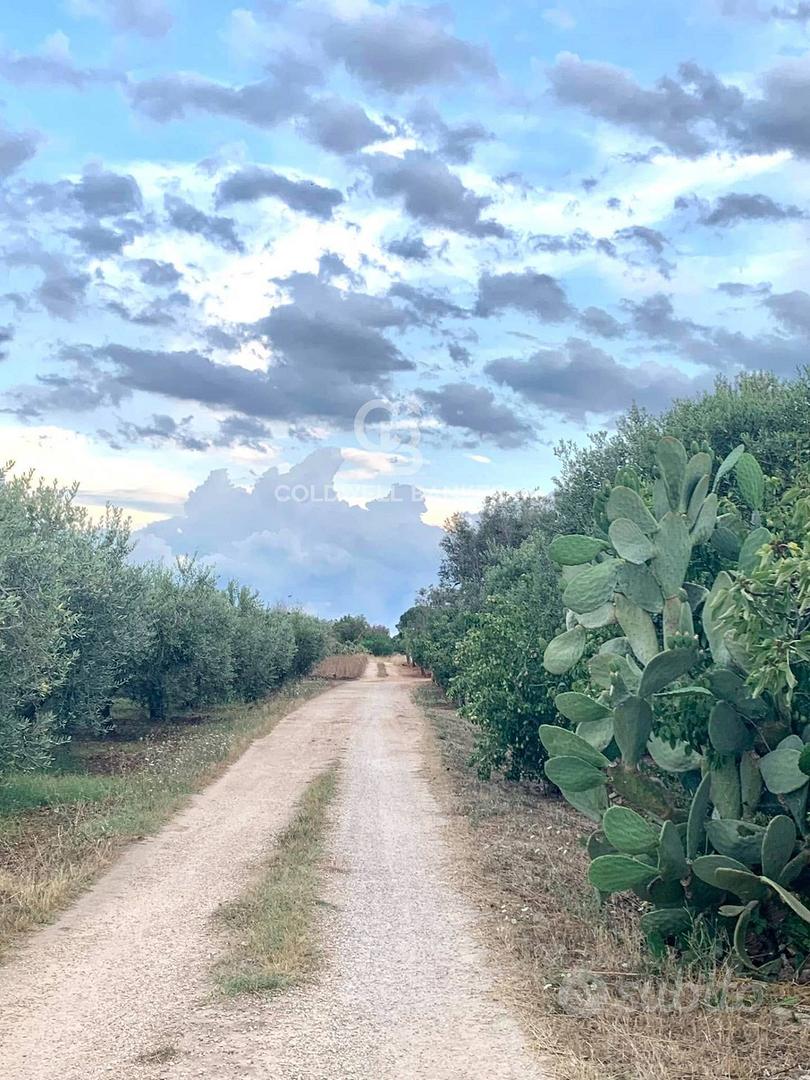 Terreno agricolo - Mesagne - Altro
