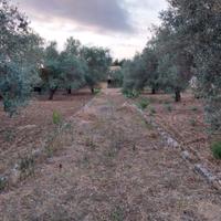 Villino indipendente ss 124