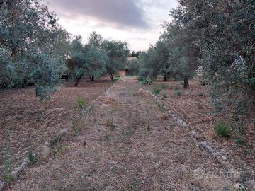 Villino indipendente ss 124