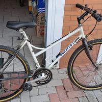 Mountain Bike Buratto