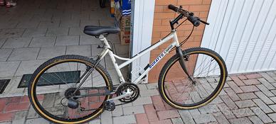 Mountain Bike Buratto