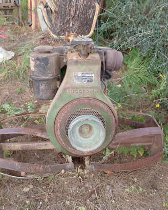 Motozappa Ruggerini 14 CV