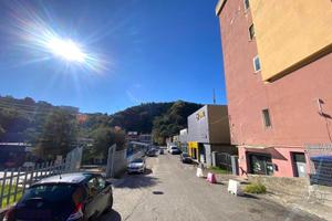 Rif.RI0447| capannone catanzaro