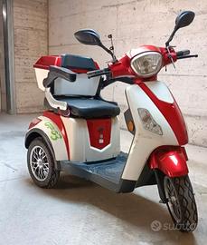 Ecobit elettrico 3 ruote