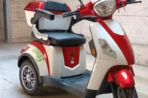 Ecobit elettrico 3 ruote