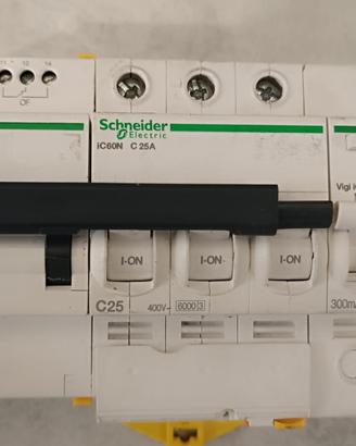 Schneider iC60N C25 3P + Vigi 300mA + ARA RIARMO