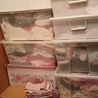 abbigliamento femmina 0-14 anni