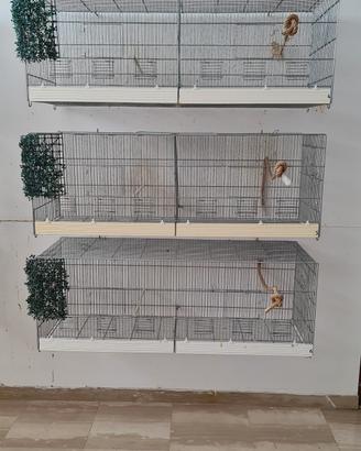 Attrezzatura per volatili 