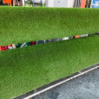 Prato sintetico erbetta